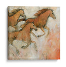 Caballo Fresco Ii - Tim OToole | Cuadro decorativo de Canvas Lab