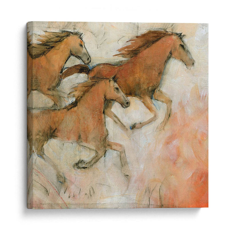Caballo Fresco Ii - Tim OToole | Cuadro decorativo de Canvas Lab