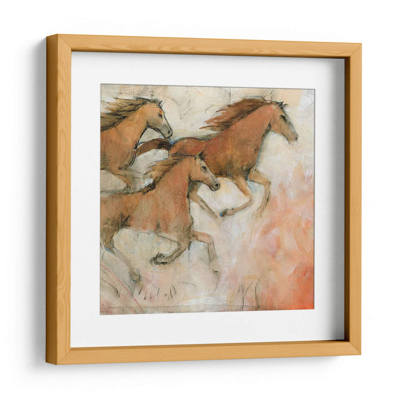 Caballo Fresco Ii - Tim OToole | Cuadro decorativo de Canvas Lab