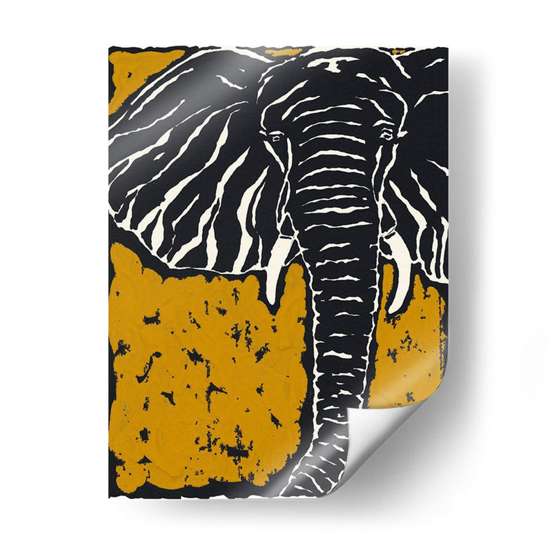 Serengeti Ii - Chariklia Zarris | Cuadro decorativo de Canvas Lab