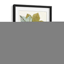 Hojas De Arce Iv | Cuadro decorativo de Canvas Lab