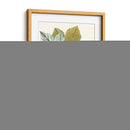 Hojas De Arce Iv | Cuadro decorativo de Canvas Lab