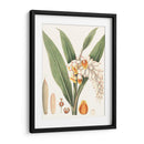 Suave Tropical I - George Smith | Cuadro decorativo de Canvas Lab