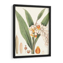 Suave Tropical I - George Smith | Cuadro decorativo de Canvas Lab