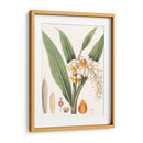 Suave Tropical I - George Smith | Cuadro decorativo de Canvas Lab