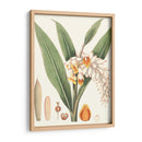 Suave Tropical I - George Smith | Cuadro decorativo de Canvas Lab