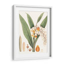 Suave Tropical I - George Smith | Cuadro decorativo de Canvas Lab