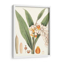 Suave Tropical I - George Smith | Cuadro decorativo de Canvas Lab