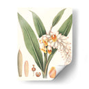 Suave Tropical I - George Smith | Cuadro decorativo de Canvas Lab