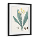 Soft Tropical Iv - George Smith | Cuadro decorativo de Canvas Lab