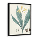 Soft Tropical Iv - George Smith | Cuadro decorativo de Canvas Lab