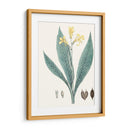 Soft Tropical Iv - George Smith | Cuadro decorativo de Canvas Lab