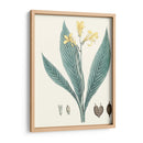 Soft Tropical Iv - George Smith | Cuadro decorativo de Canvas Lab