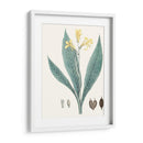 Soft Tropical Iv - George Smith | Cuadro decorativo de Canvas Lab