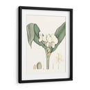 Suave Tropical V - George Smith | Cuadro decorativo de Canvas Lab