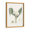 Suave Tropical V - George Smith | Cuadro decorativo de Canvas Lab