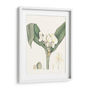 Suave Tropical V - George Smith | Cuadro decorativo de Canvas Lab