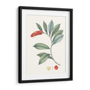 Suave Tropical Vi - George Smith | Cuadro decorativo de Canvas Lab