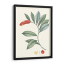 Suave Tropical Vi - George Smith | Cuadro decorativo de Canvas Lab