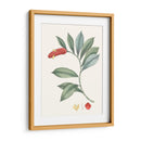 Suave Tropical Vi - George Smith | Cuadro decorativo de Canvas Lab