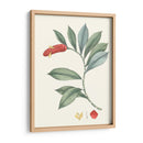 Suave Tropical Vi - George Smith | Cuadro decorativo de Canvas Lab