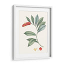 Suave Tropical Vi - George Smith | Cuadro decorativo de Canvas Lab