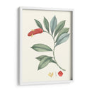 Suave Tropical Vi - George Smith | Cuadro decorativo de Canvas Lab