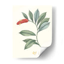 Suave Tropical Vi - George Smith | Cuadro decorativo de Canvas Lab