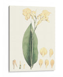 Tropical Suave Vii - George Smith | Cuadro decorativo de Canvas Lab