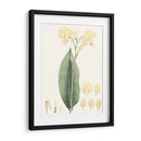 Tropical Suave Vii - George Smith | Cuadro decorativo de Canvas Lab