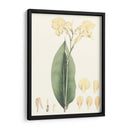 Tropical Suave Vii - George Smith | Cuadro decorativo de Canvas Lab