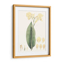 Tropical Suave Vii - George Smith | Cuadro decorativo de Canvas Lab