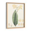 Tropical Suave Vii - George Smith | Cuadro decorativo de Canvas Lab