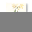 Tropical Suave Vii - George Smith | Cuadro decorativo de Canvas Lab