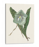 Pantalla De Orquídea I - Melissa Wang | Cuadro decorativo de Canvas Lab