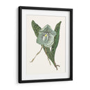 Pantalla De Orquídea I - Melissa Wang | Cuadro decorativo de Canvas Lab