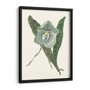 Pantalla De Orquídea I - Melissa Wang | Cuadro decorativo de Canvas Lab