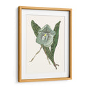 Pantalla De Orquídea I - Melissa Wang | Cuadro decorativo de Canvas Lab