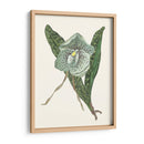 Pantalla De Orquídea I - Melissa Wang | Cuadro decorativo de Canvas Lab