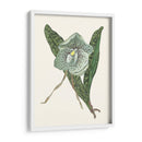 Pantalla De Orquídea I - Melissa Wang | Cuadro decorativo de Canvas Lab