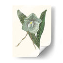 Pantalla De Orquídea I - Melissa Wang | Cuadro decorativo de Canvas Lab