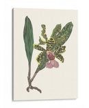 Pantalla De Orquídea Ii - Melissa Wang | Cuadro decorativo de Canvas Lab