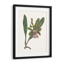 Pantalla De Orquídea Ii - Melissa Wang | Cuadro decorativo de Canvas Lab