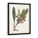 Pantalla De Orquídea Ii - Melissa Wang | Cuadro decorativo de Canvas Lab