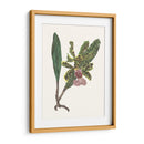 Pantalla De Orquídea Ii - Melissa Wang | Cuadro decorativo de Canvas Lab