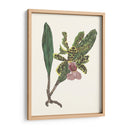 Pantalla De Orquídea Ii - Melissa Wang | Cuadro decorativo de Canvas Lab