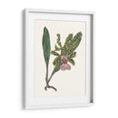 Pantalla De Orquídea Ii - Melissa Wang | Cuadro decorativo de Canvas Lab