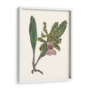 Pantalla De Orquídea Ii - Melissa Wang | Cuadro decorativo de Canvas Lab