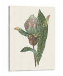 Pantalla De Orquídeas Iii - Melissa Wang | Cuadro decorativo de Canvas Lab