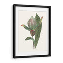 Pantalla De Orquídeas Iii - Melissa Wang | Cuadro decorativo de Canvas Lab